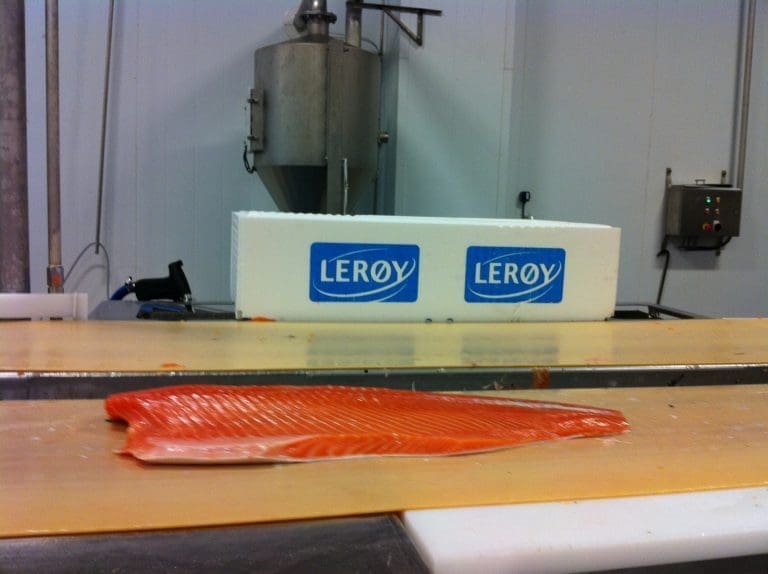 Vekter seg ned i Lerøy