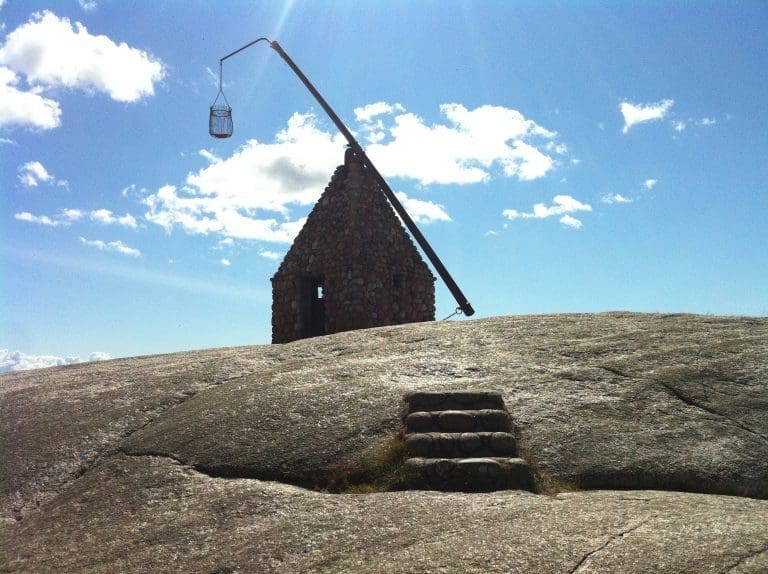Kampen for tilværelsen