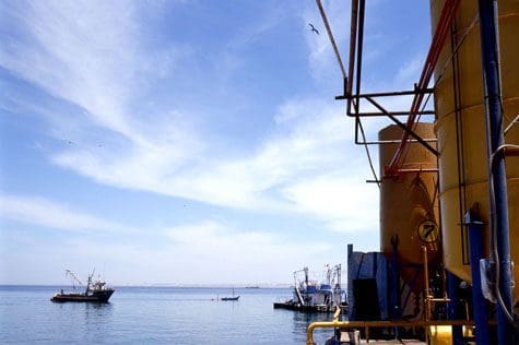 Peru kan gjenåpne anchovetas-fisket i april