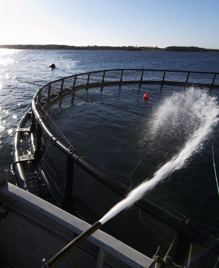 NRS-aksjen opp 12,5 prosent