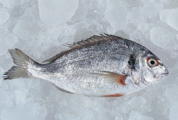 Kutter bass og bream med 25 prosent