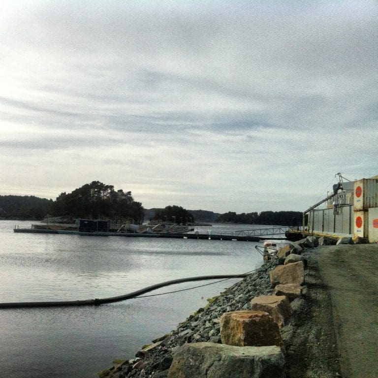 Austevoll Seafood tvangsinnløser