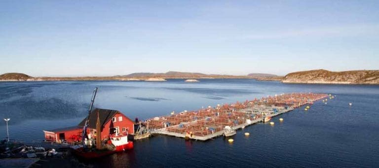 Lav fart i fôringen inn mot sommeren