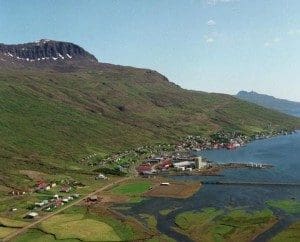 Ny islandsk regjering satser på lakseoppdrett