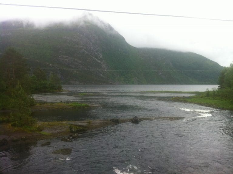 Svakt laksefiske, legger skylden på oppdretterne