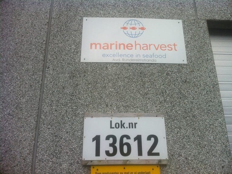 Kinesisk merkevare-suksess for Marine Harvest Scotland