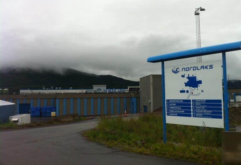 Fisket 20-talls laks i Tysfjord