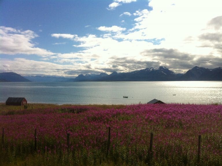 Kan ti-doble i Nord-Norge