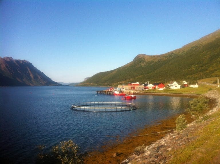 – Kraftig korreksjon