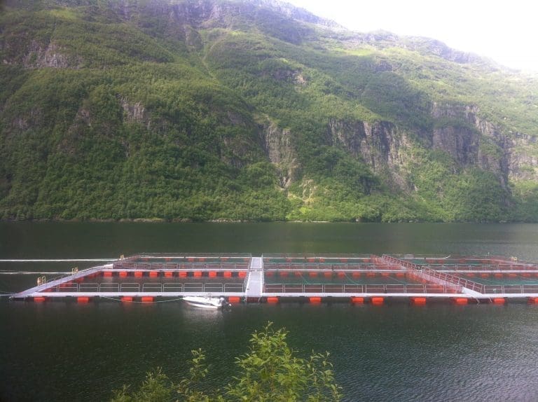 – Ikke velferdsmessig forsvarlig