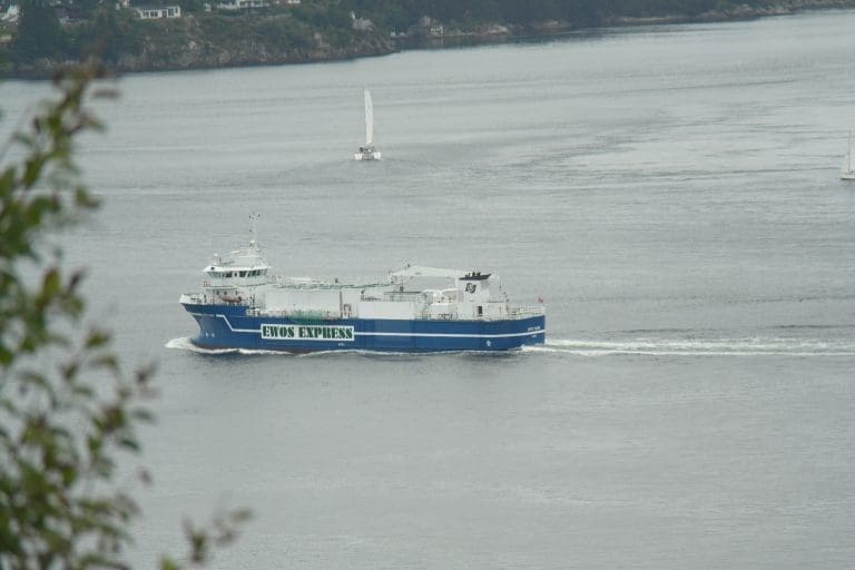 Rådgir oppdretterne i sommervarmen