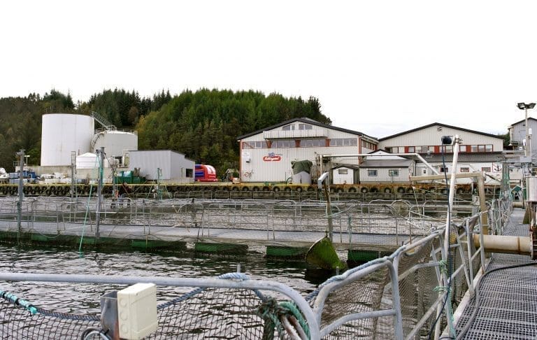 Sekkingstad overtar Skagerak Salmon