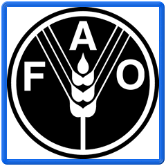 FAO: – 90 prosent av oppdrett er i Asia