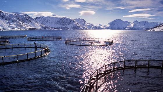 – I stand til å starte arbeidet