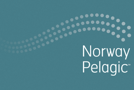 Norway Pelagic strykes