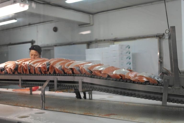 Vågen Seafood slo resultatrekorden fra i fjor – såvidt