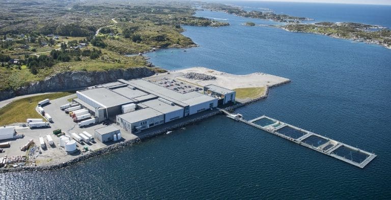 Døde under løpetur