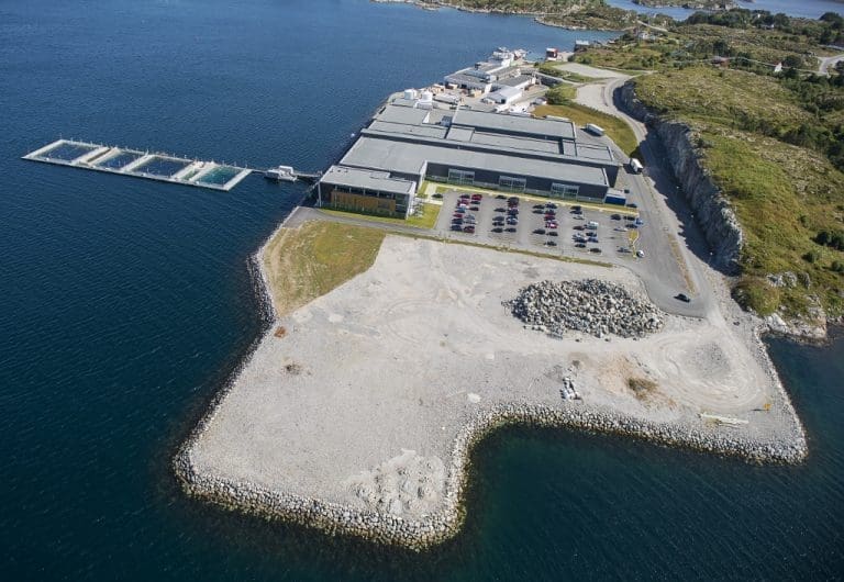 Rømming fra Innovamar