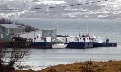 Flåtebesøk på Tranøy Slipp