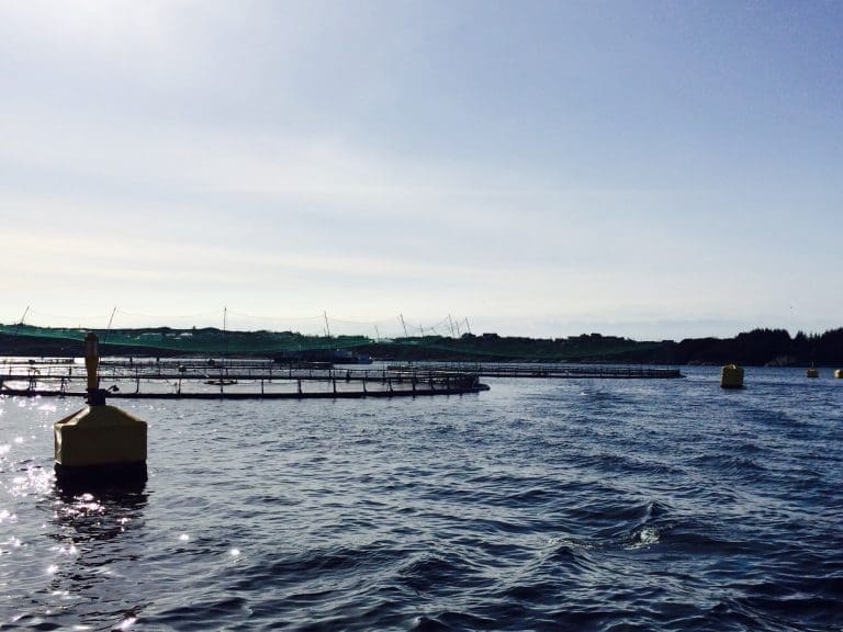 Inngår avtale med Mørenot
