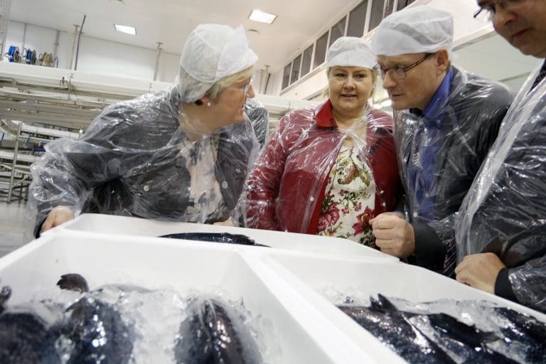 Nordlaks dro inn mer enn en milliard