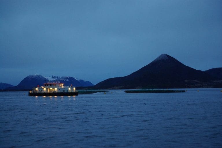 – Usikkert om all norsk fisk rammes