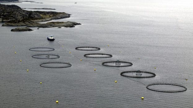 Finansdirektør går på dagen