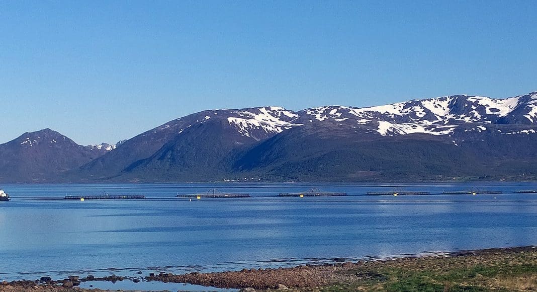 Merd, mær, oppdrettslokalitet i Sortland, eid av Eidsfjord Sjøfarm. Foto: GEIR BJØRN NILSEN