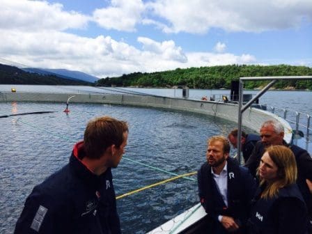Vil ha en million fisk i samme merd
