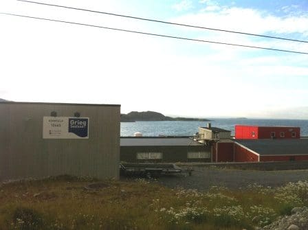 Ny regiondirektør i GSF Finnmark