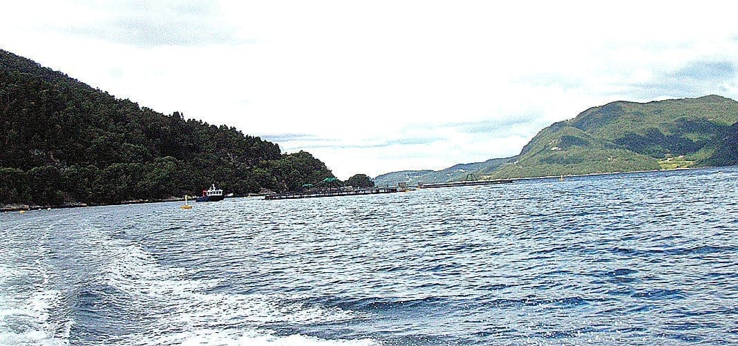 10213 Naustneset i Gjemnes kommune . Foto: FISKERIDIREKTORATET MERD, BÅT, LERØY MIDT