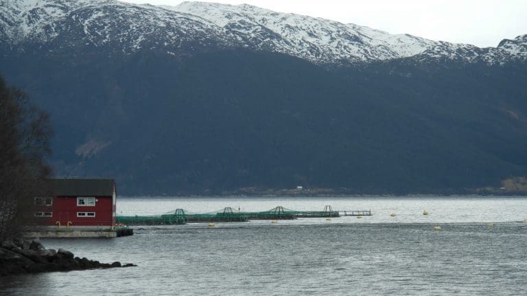 Prishopp til påske