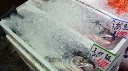 JAPANSK LAKS