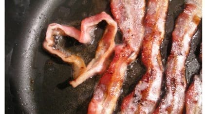 bacon2