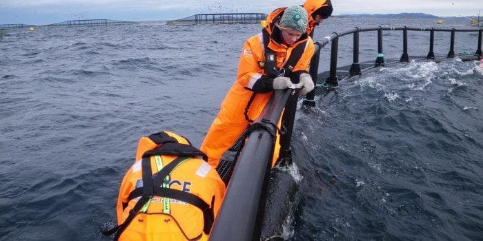 Skreddersøm for havgapet