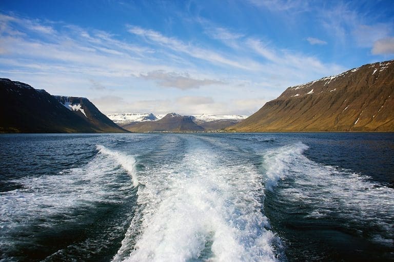 Vil produsere 150.000 tonn laks på Island