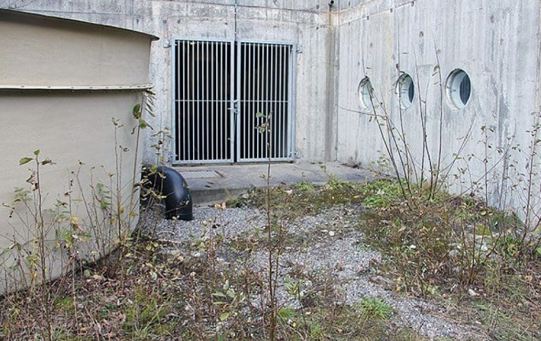 Havforskningsinstituttet får påpakning etter rømming