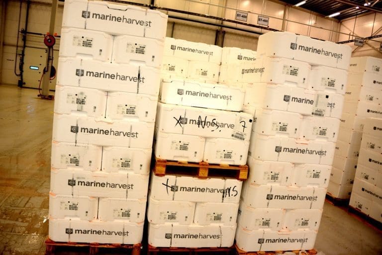 Korreksjon i laksemarkedet