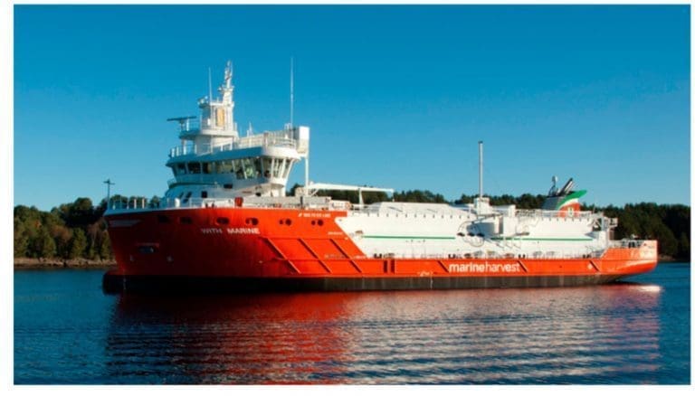 Jakter shipping-sjef