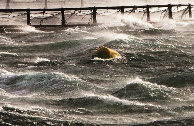 Oppdrettere forbereder seg på storm i nord