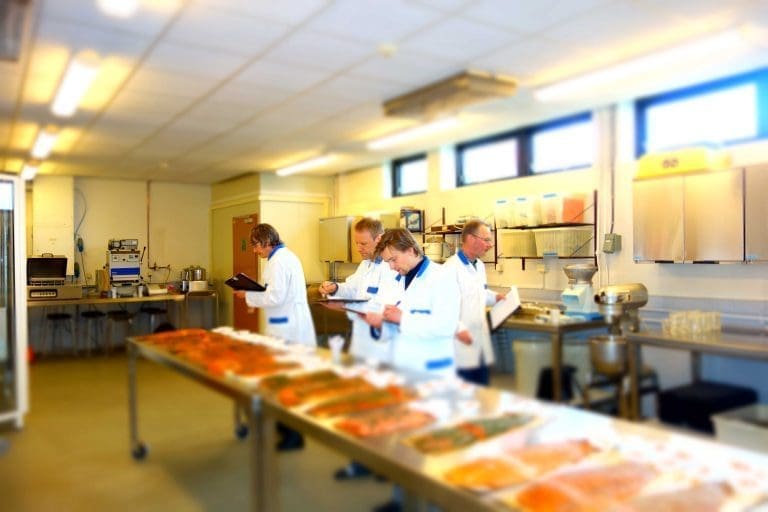 Finalistene er klare i NM for røkt og gravet laks og ørret 2015