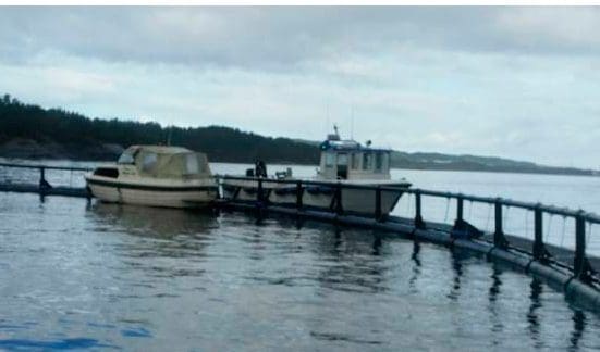 Fuktig båttur endte oppe i oppdrettsanlegg