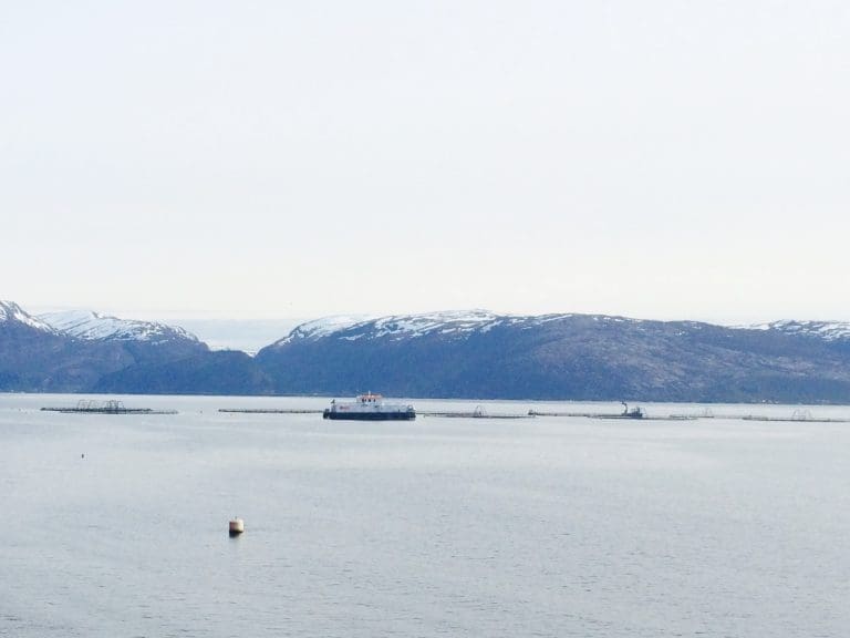 Vidt gap på lønnsomhet