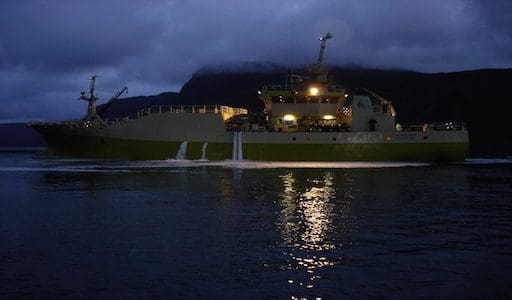 Tauranga-eier kontraherer nybygg
