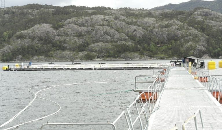 – Ved et enkelt grep kan vi redusere lakseluspåslaget med 35 prosent