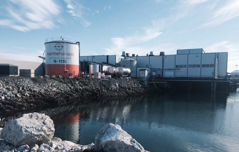 Nærmer seg 60 kroner for storlaksen
