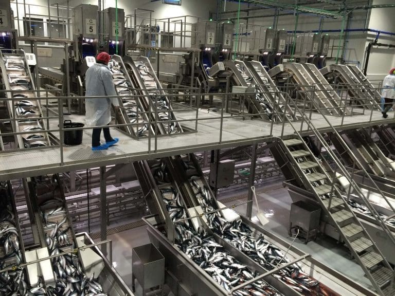 – Ganske sjelden i pelagisk industri