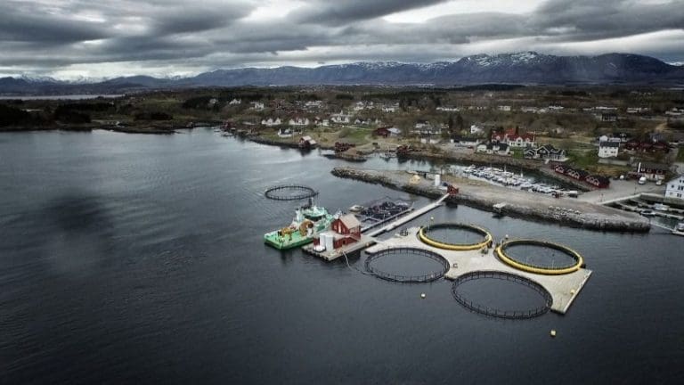 Nå skal de bygge anlegg med 20 lukkede merder