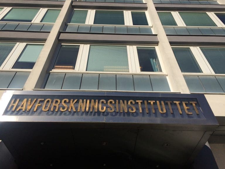 HI vil søke på nytt om å få sette ut genmodifiserte sterile laks i sjøen