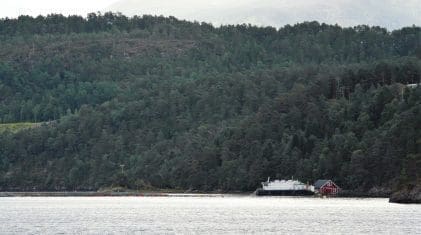 Nordfjord Laks